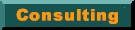 consulting.jpg (5508 bytes)